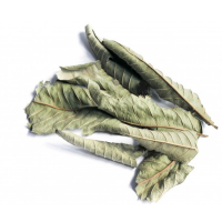 Guava Leaves