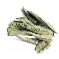 Guava Leaves