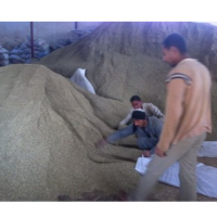 Livestock Feeding
