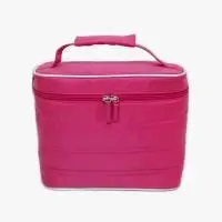 Cosmetic case