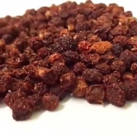 Gloriosa Superba Seeds