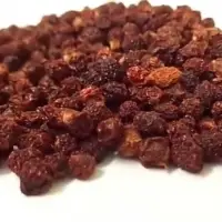 Gloriosa Superba Seeds