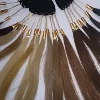 Blonde Colour Hair