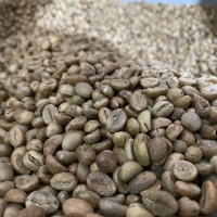 Fine Java Robusta Coffee