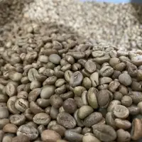 Fine Java Robusta Coffee