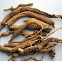 Ashwagandha (withania Somnifera)