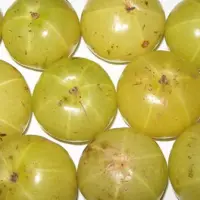 Amla (Emblica Officinalis)