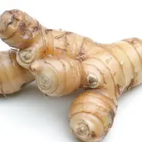Galangal Roots