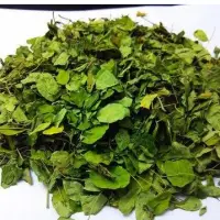 Gymnema Leaves
