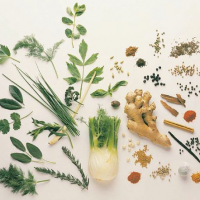 Medicinal Herbs