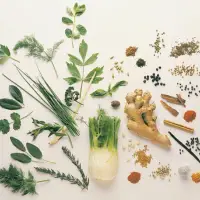 Medicinal Herbs