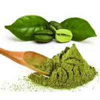 Green Coffee Bean Extract,  Chlorogenic Acid
