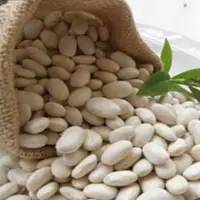 White Kidney Bean Extract