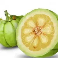 Garcinia Cambogia