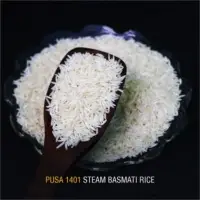 1401 Steam Rice