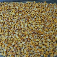 Yellow Corn