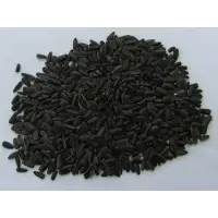 Sunflower seed