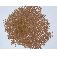 Mustard seed