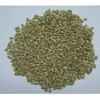 Shelled Raw Sunflower Seeds