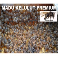 Kelulut Trigona Stingless Bee Honey