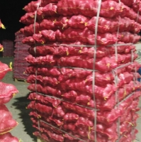 Fresh Red Onion