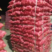 Fresh Red Onion