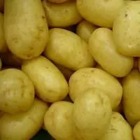 Fresh Potatoes
