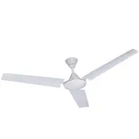 Electric Fans