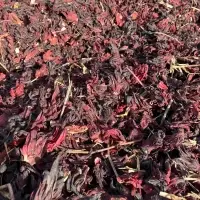 Dried Hibiscus Flower