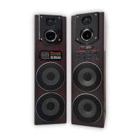 Double 8 Inch Active Speaker Mp3, FM Radio, BLT