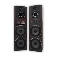 Double 8 Inch Active Speaker Mp3, FM Radio, BLT
