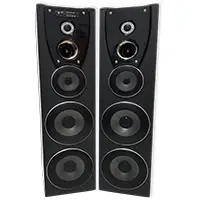 3 Way Dbl 8" Active Speaker