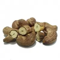 Roasted Cashew Nut With Skin