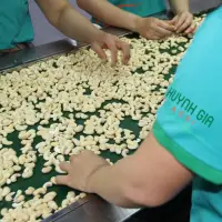 Raw cashew nut WW240