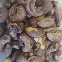 Roasted Salted Cashew Nuts W240 With Skin/shell