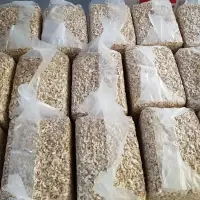 Cashew Nut WS