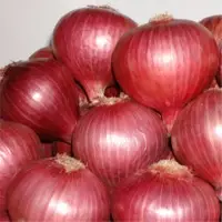 Fresh Onion