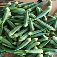 Fresh Ladyfinger