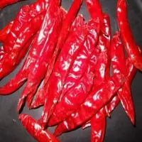 Best S4/S17 Red Dry Chilli, Cool, With Stem
