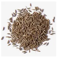 Cumin