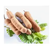 Tamarind
