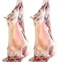 Sheep Meat