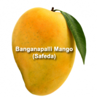 Banganapalli Mango (Safeda)