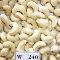 W240 Cashew Nuts