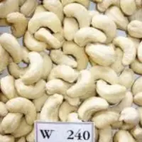 W240 Cashew Nuts