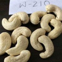 W210 Cashew Kernels