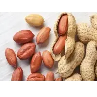Peanut Kernels