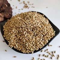 Top Grade Canary Seeds