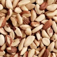 Hot Selling Cheap Brazil Nuts with 100%