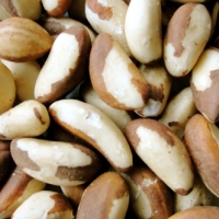 Farm Product Brazil Nuts